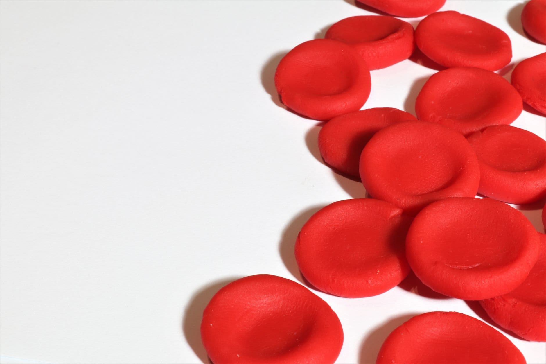 Microscopic view of red blood cells representing circulation